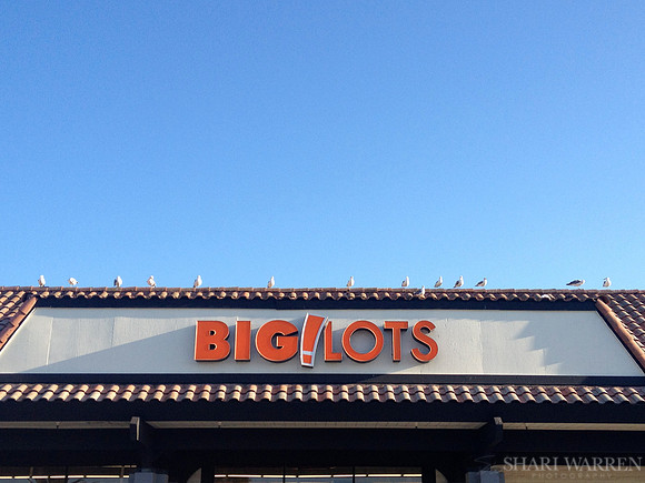 Big Lots