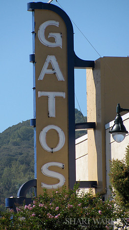 Gatos Theatre