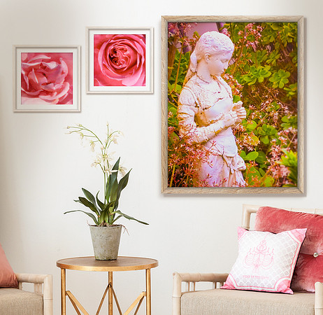 Flowers and Garden Collection
