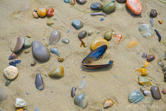 Ventura Beach Pebbles I