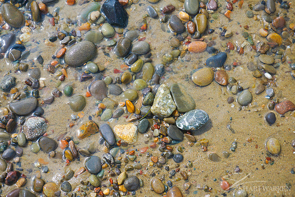 Ventura Beach Pebbles XVIII