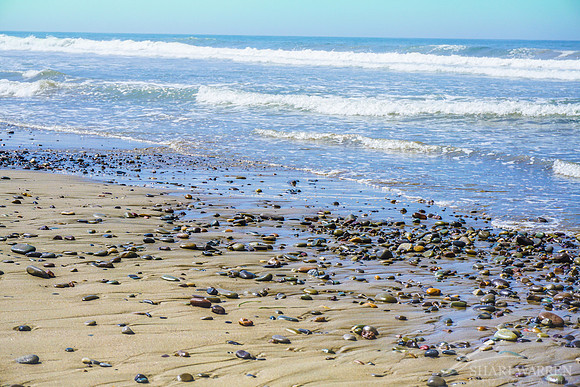 Ventura Beach I