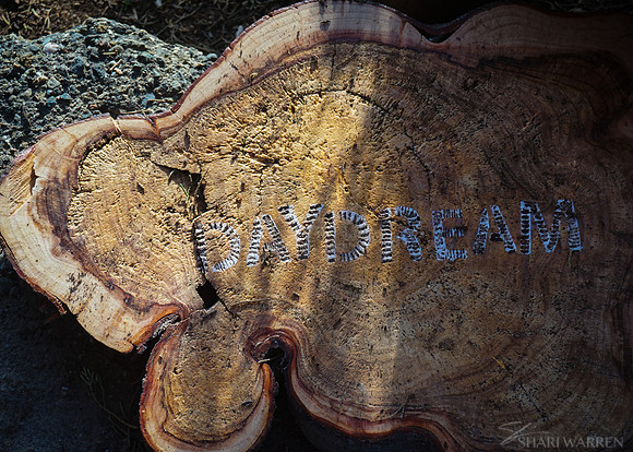 Daydream