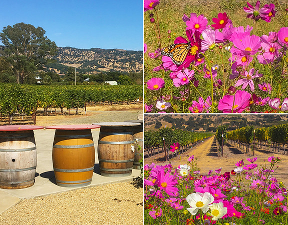Winery Seating Area with Wildflowers View