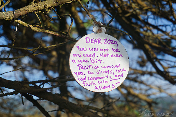 Dear 2020...