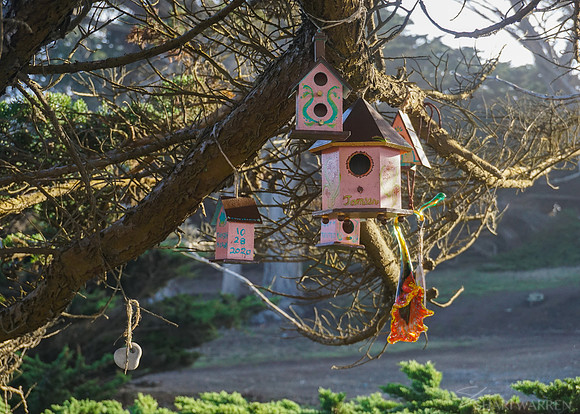 Pink Birdhouses
