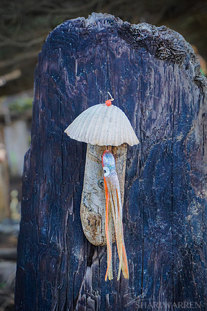 Squid Chime