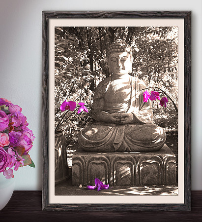 Zen Buddhas Collection