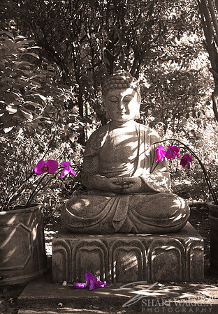 Buddha with Orchids