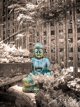Garden Buddha